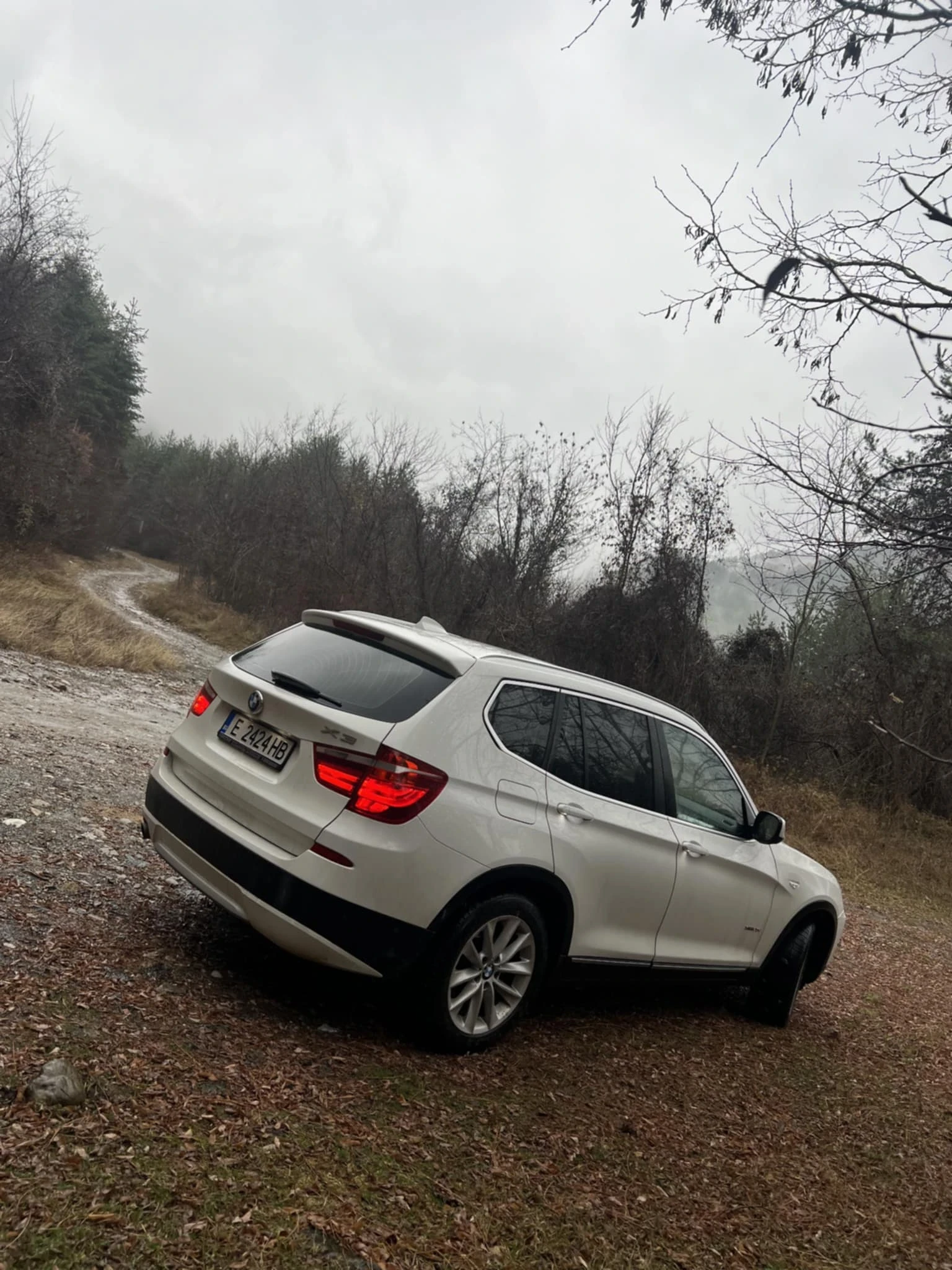 BMW X3, снимка 3 - Автомобили и джипове - 55157194