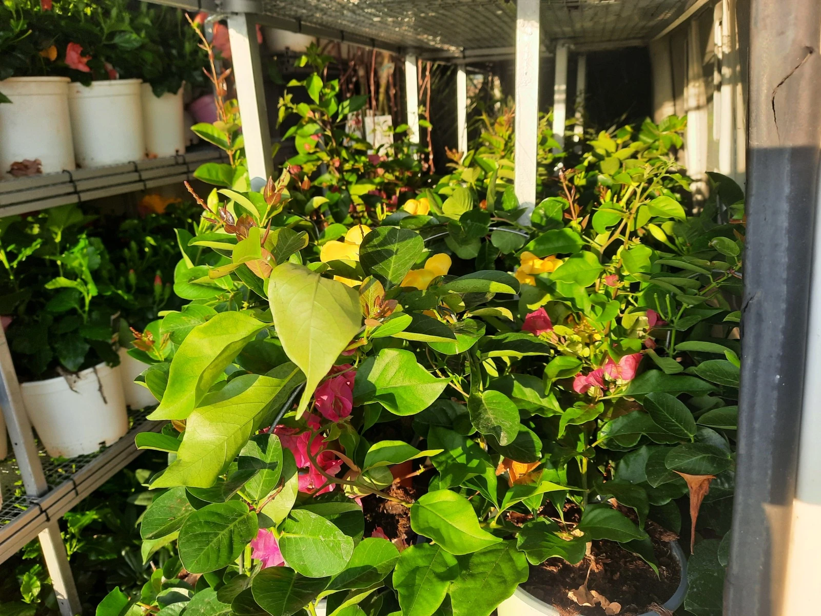 Ford Transit 2.0  TDI | Mobile.bg   12