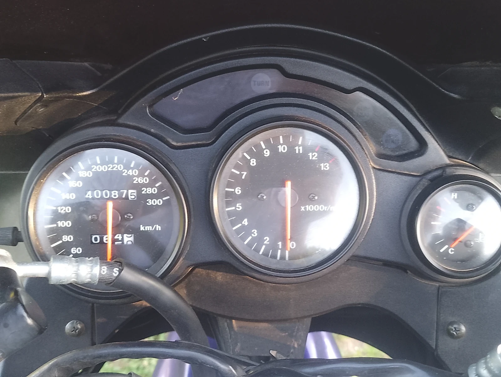 Suzuki Rf  - изображение 5