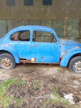 VW Beetle, снимка 5