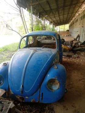 VW Beetle | Mobile.bg � ����� ������ 2