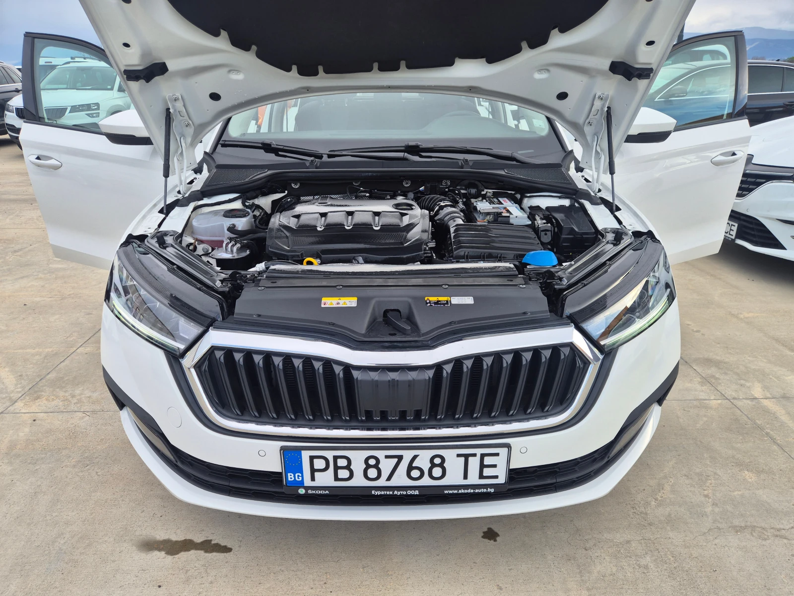 Skoda Octavia � �������� 2.0TDI-�/� | Mobile.bg � ����������� 16