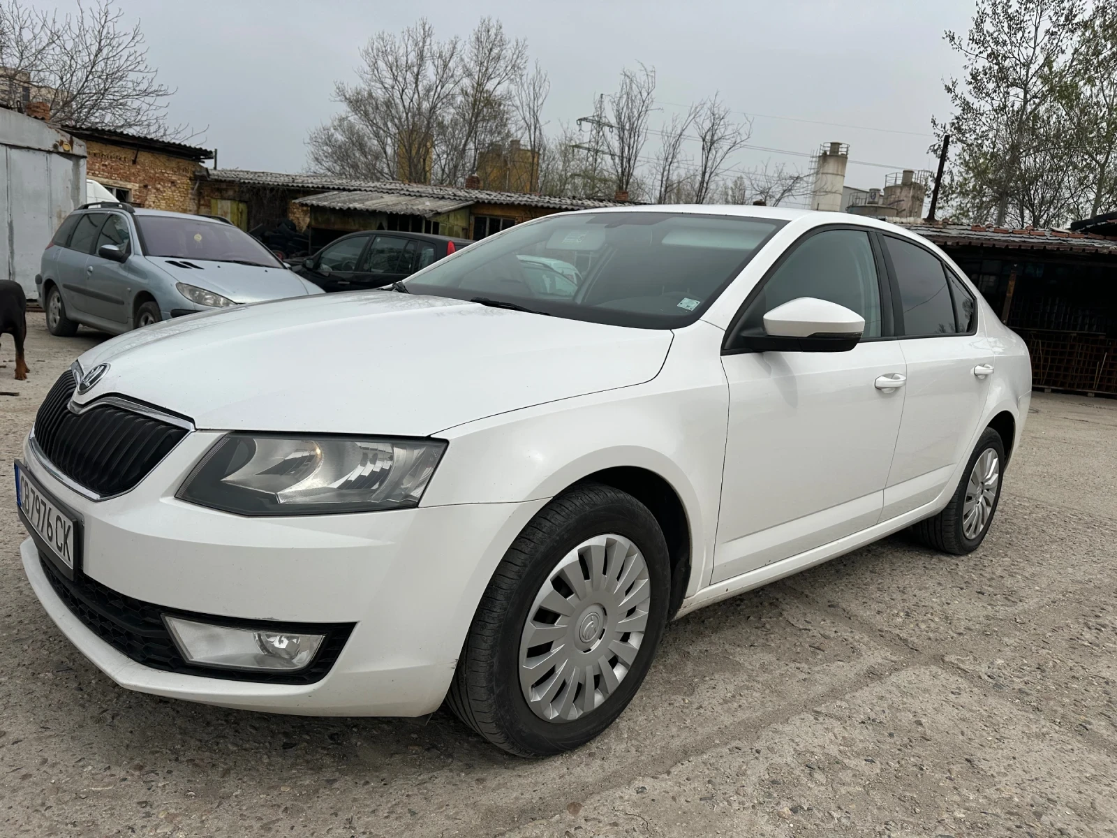 Skoda Octavia, снимка 10 - Автомобили и джипове - 54672468