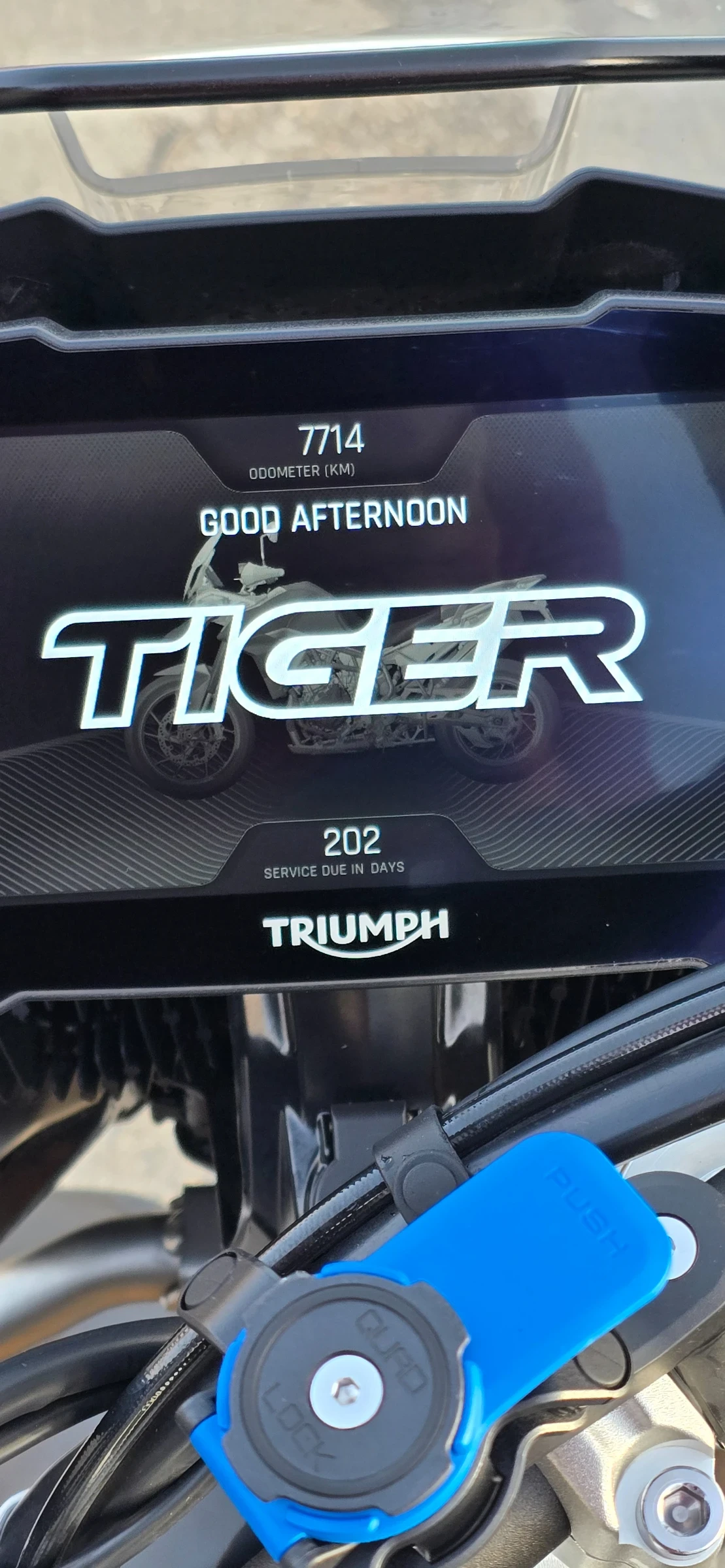 Triumph Tiger 900 rally  pro | Mobile.bg � ����������� 9