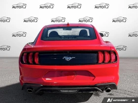 Ford Mustang EcoBoost* Coupe* AвтоКредит * (ЦЕНА ДО БГ) | Auto.bg — изображение 5