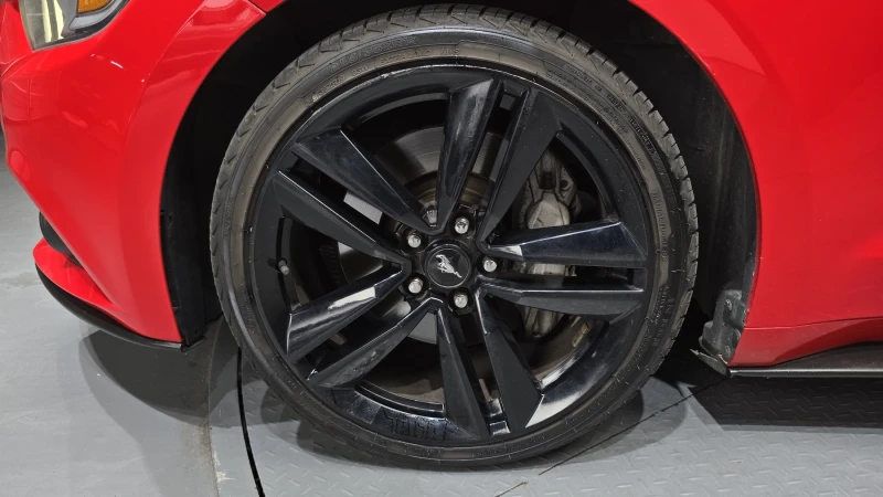 Ford Mustang 5.8 autogeorge.com, снимка 5 - Автомобили и джипове - 51903059