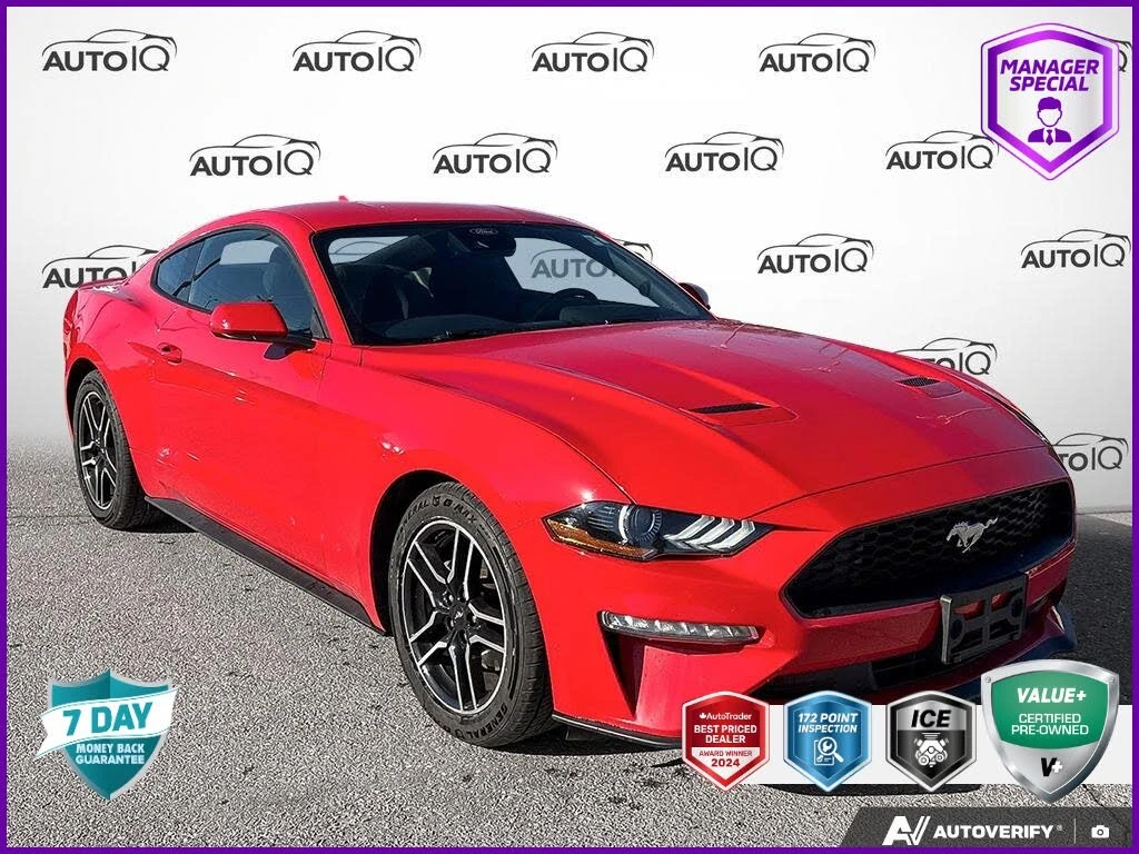 Ford Mustang EcoBoost* Coupe* AвтоКредит * (ЦЕНА ДО БГ) | Auto.bg — изображение 1
