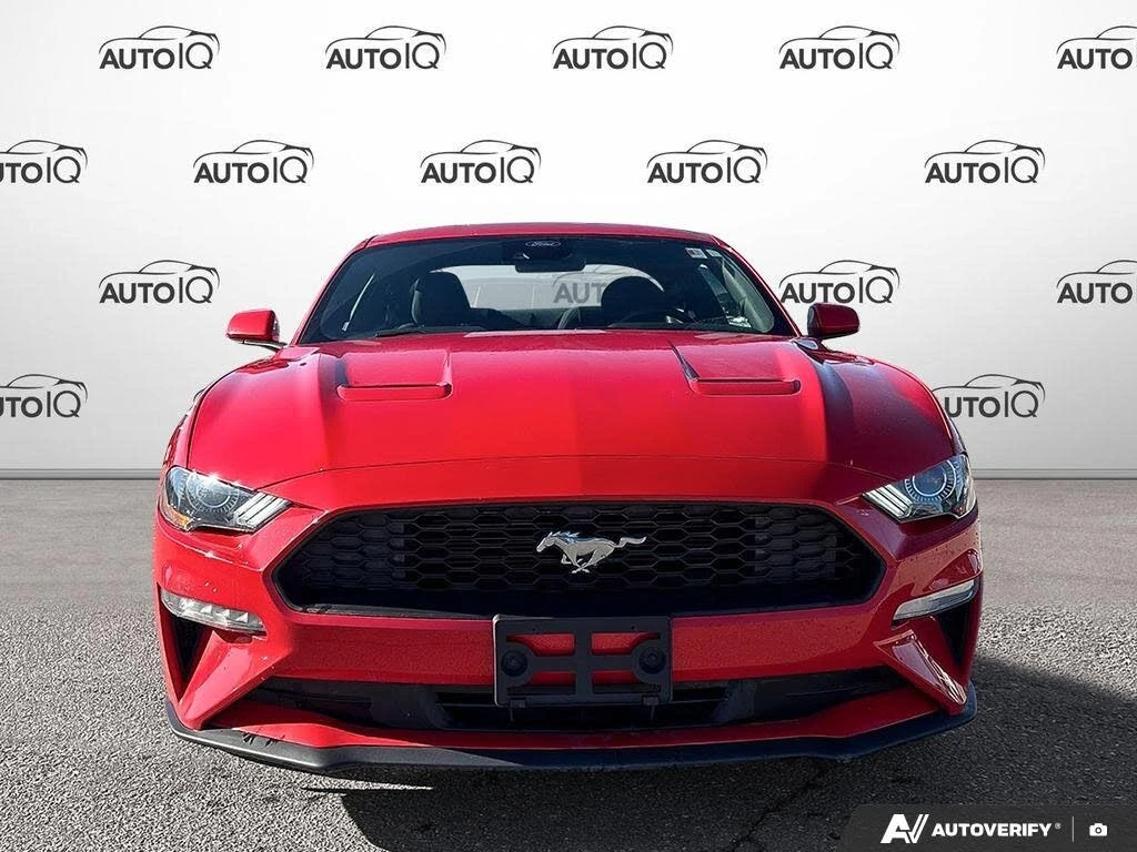 Ford Mustang EcoBoost* Coupe* A��������� * (���� �� ��) | Mobile.bg � ����������� 2