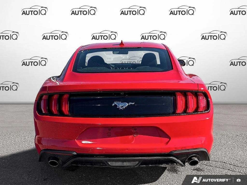 Ford Mustang EcoBoost* Coupe* A��������� * (���� �� ��) | Mobile.bg � ����������� 5