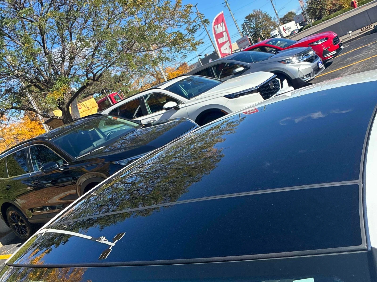 Audi A5 Sportback Progressiv ���������� ���� �� �������� | Mobile.bg � ����������� 13