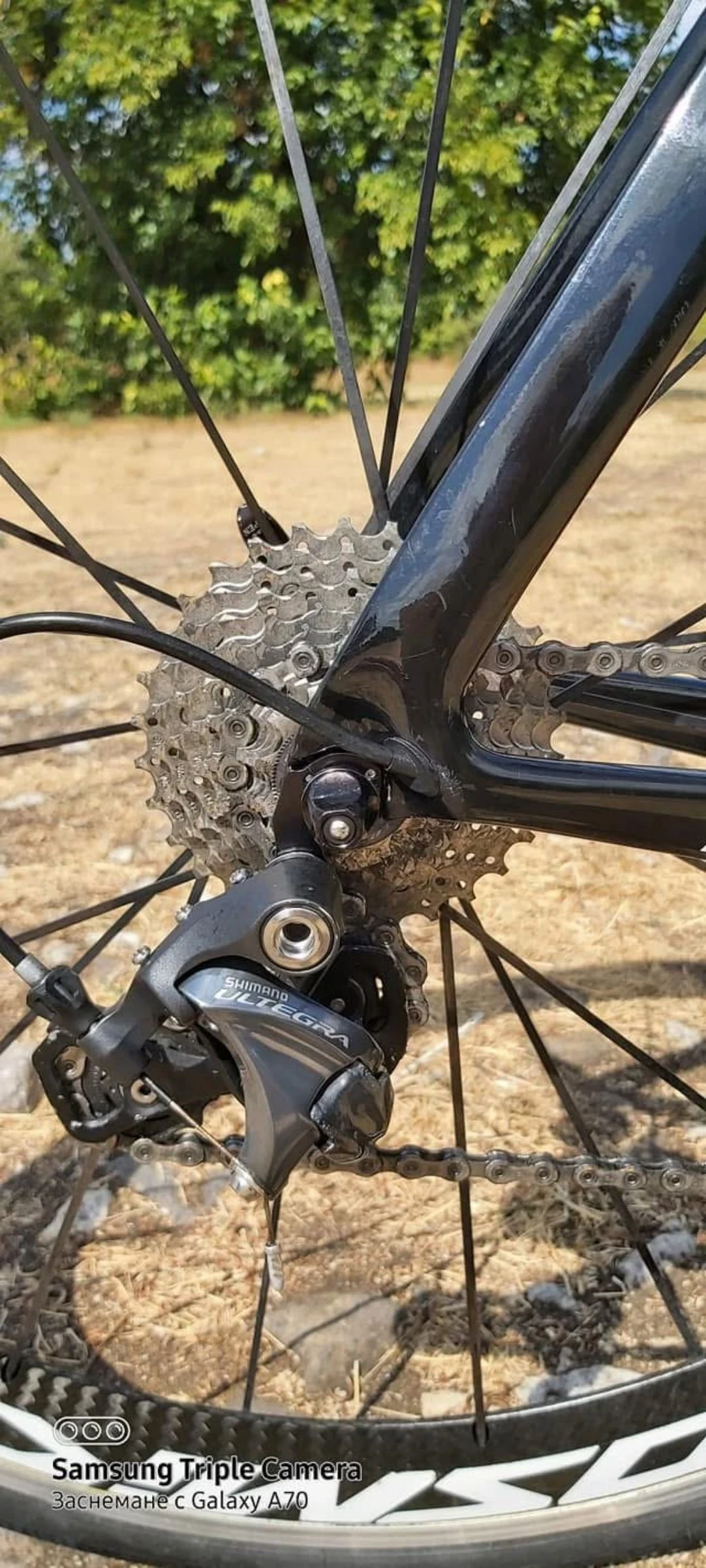 ������ S5 | Mobile.bg � ����������� 5