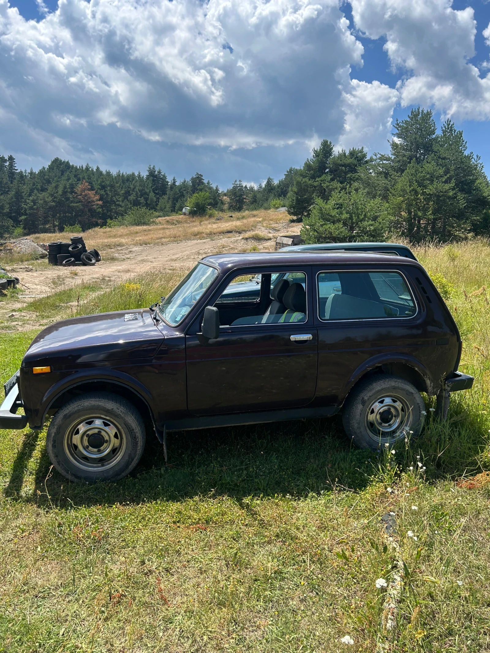 Lada Niva, снимка 2 - Автомобили и джипове - 55397552