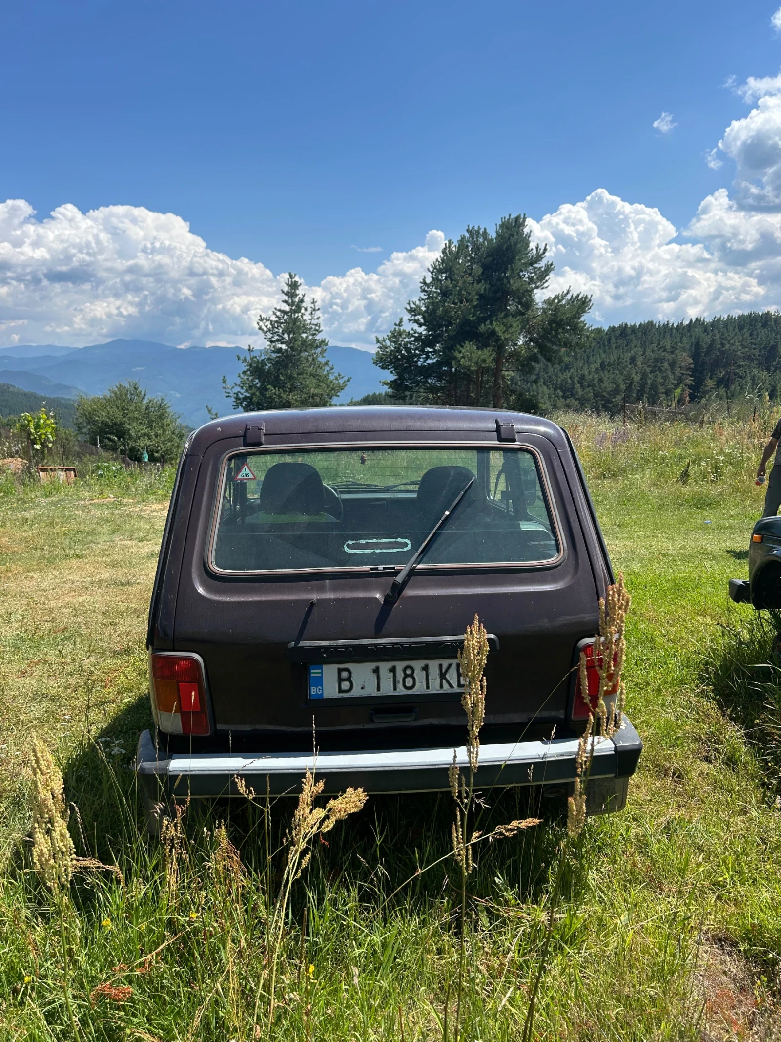 Lada Niva, снимка 3 - Автомобили и джипове - 55397552