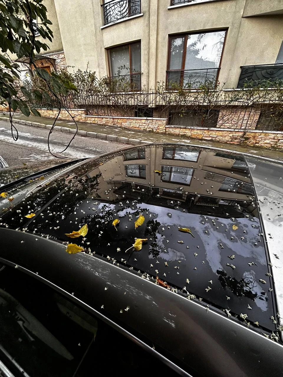 VW CC | Mobile.bg   6