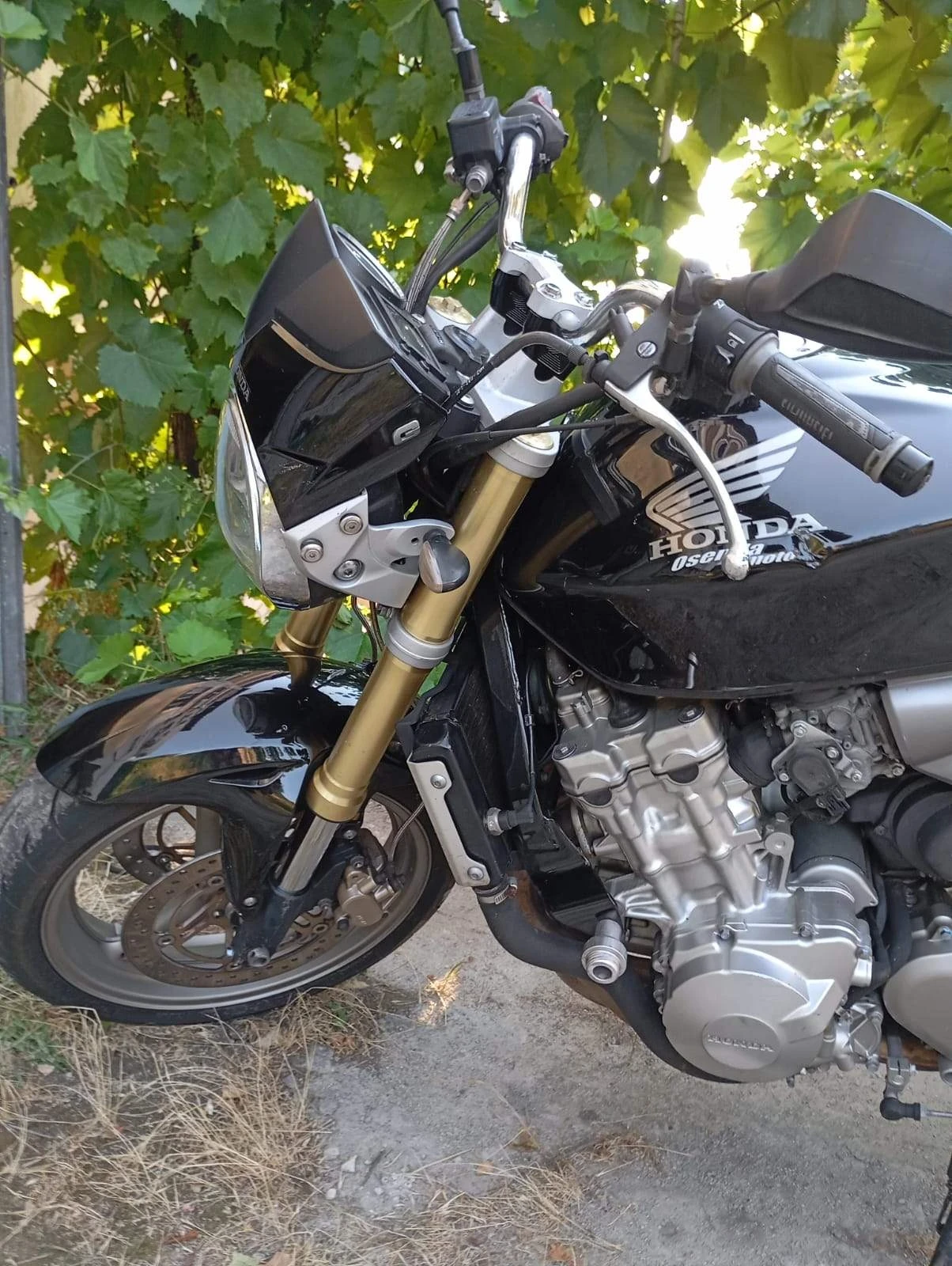 Honda Helix | Mobile.bg � ����������� 11