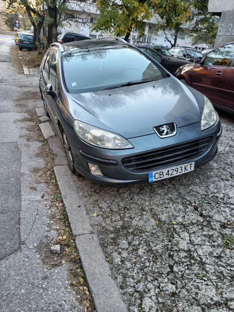 Peugeot 407 SW, снимка 1 - Автомобили и джипове - 48844745