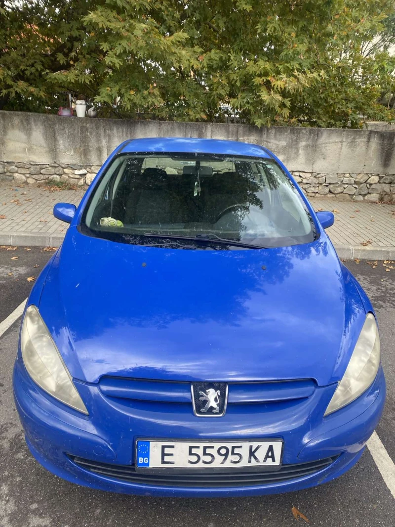 Peugeot 307, снимка 4 - Автомобили и джипове - 48559320