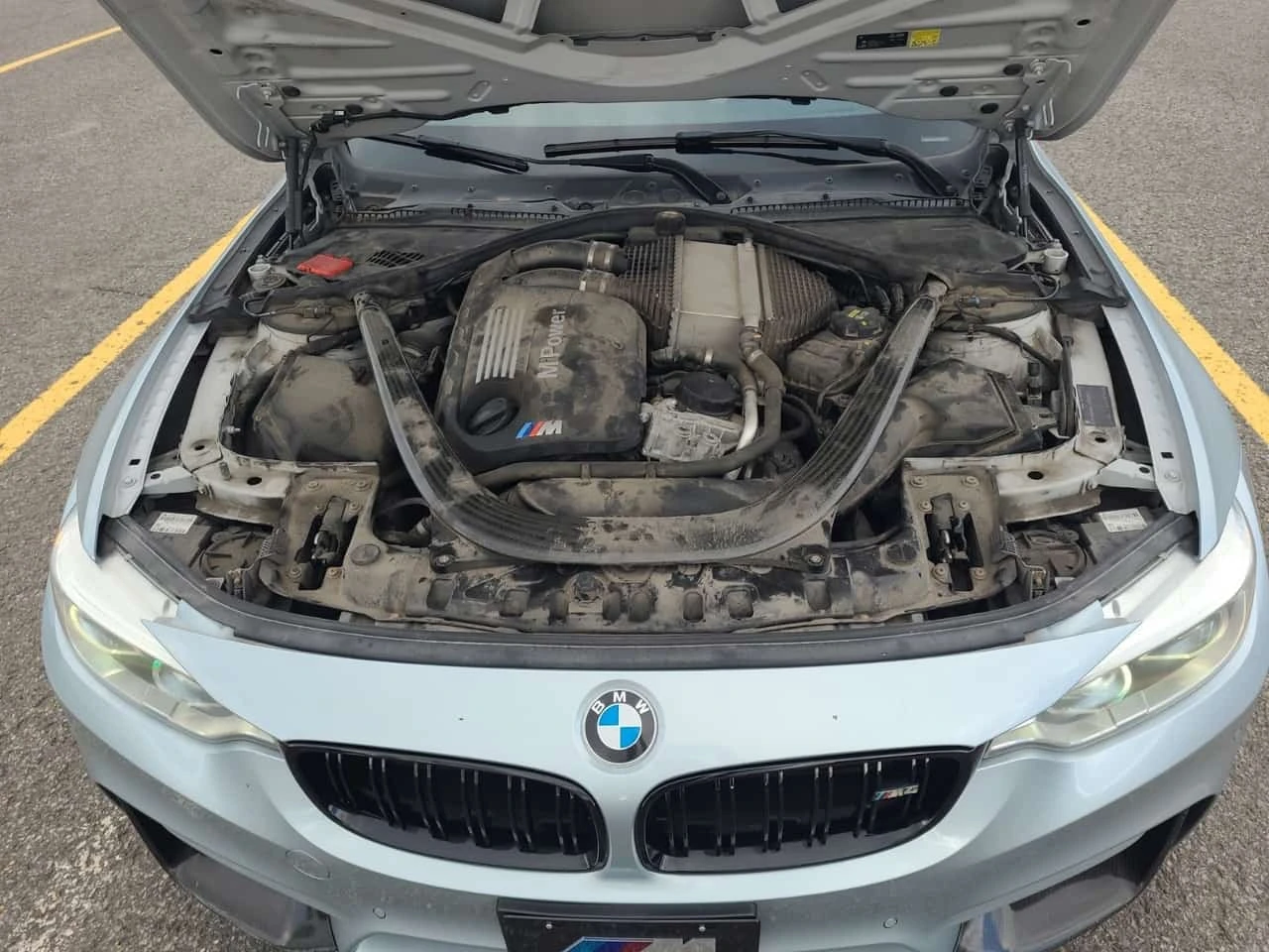 BMW M4 CARBON * CARFAX * ��������������� *  | Mobile.bg � ����������� 17