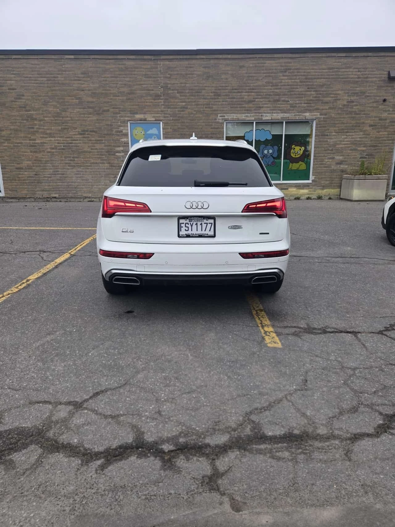 Audi Q5 * Progressiv * CARFAX * ОПЦИЯ ЗА ФИНАНСИРАНЕ, снимка 4 - Автомобили и джипове - 56275750