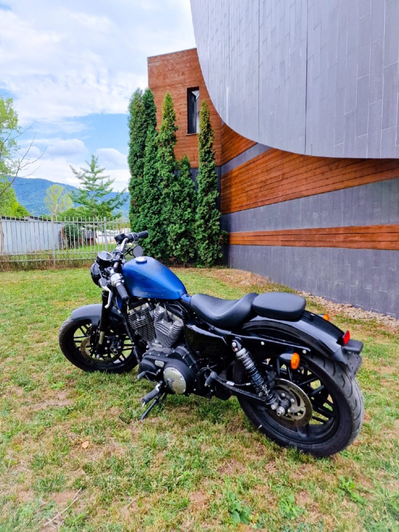 Harley-Davidson Sportster Edition 115, снимка 3 - Мотоциклети и мототехника - 44717072