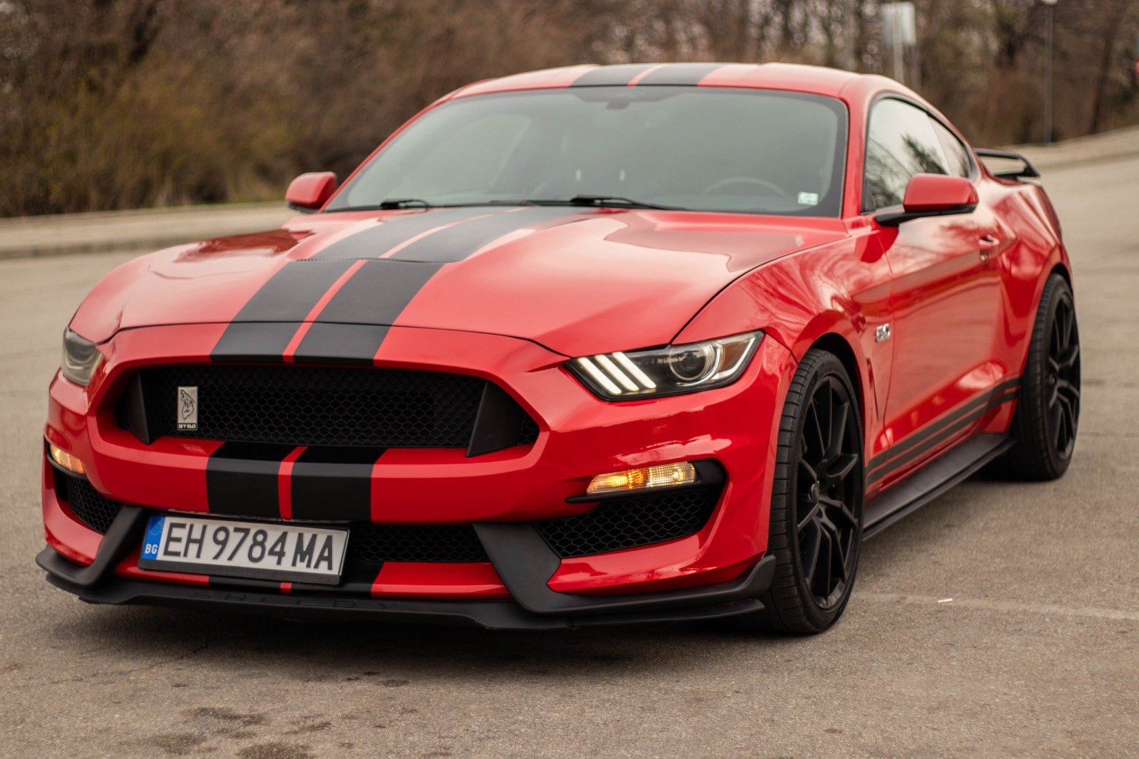 Ford Mustang 5.0 GT 350 pack Premium - изображение 1