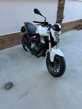     Benelli 304 Benelli BN302  2   