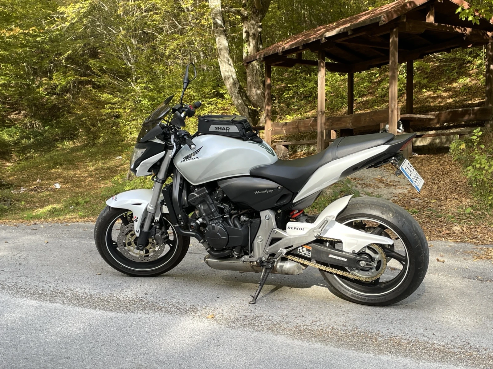 Honda Hornet  - изображение 6