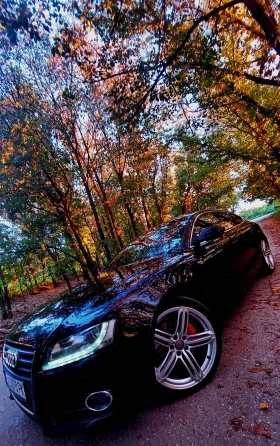 Audi A5 2.7 TDI S LINE SPORTBACK | Mobile.bg � ����� ������ 15