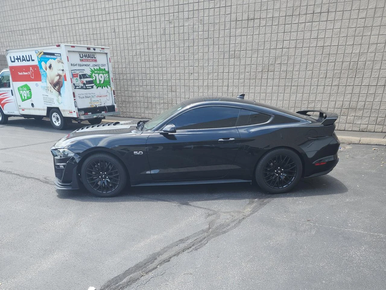 Ford Mustang GT* Авто финансиране* Карфакс - изображение 2