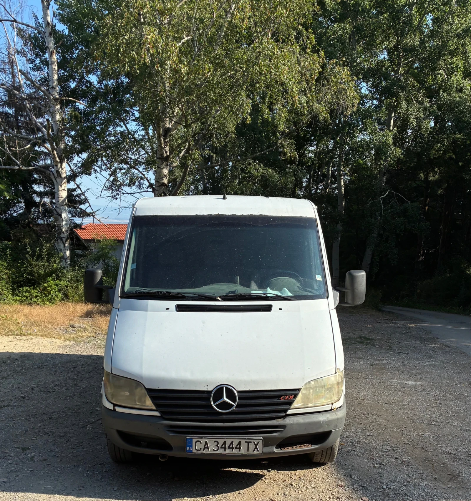 Mercedes-Benz 313