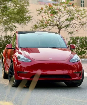 ������ Tesla Model Y