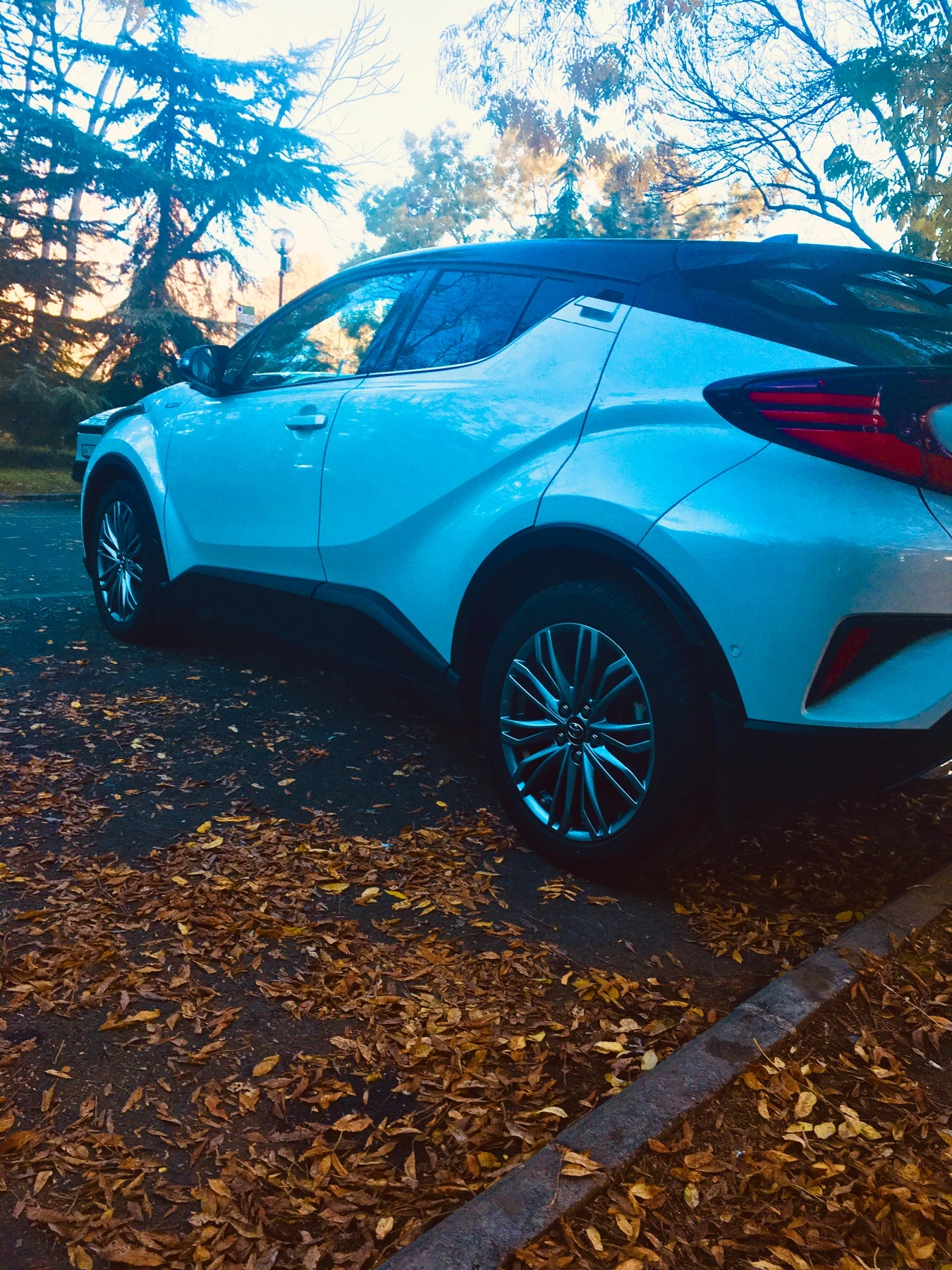 Toyota C-HR  - изображение 2