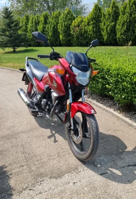 Honda Cbf 125 | Mobile.bg � ����� ������ 3