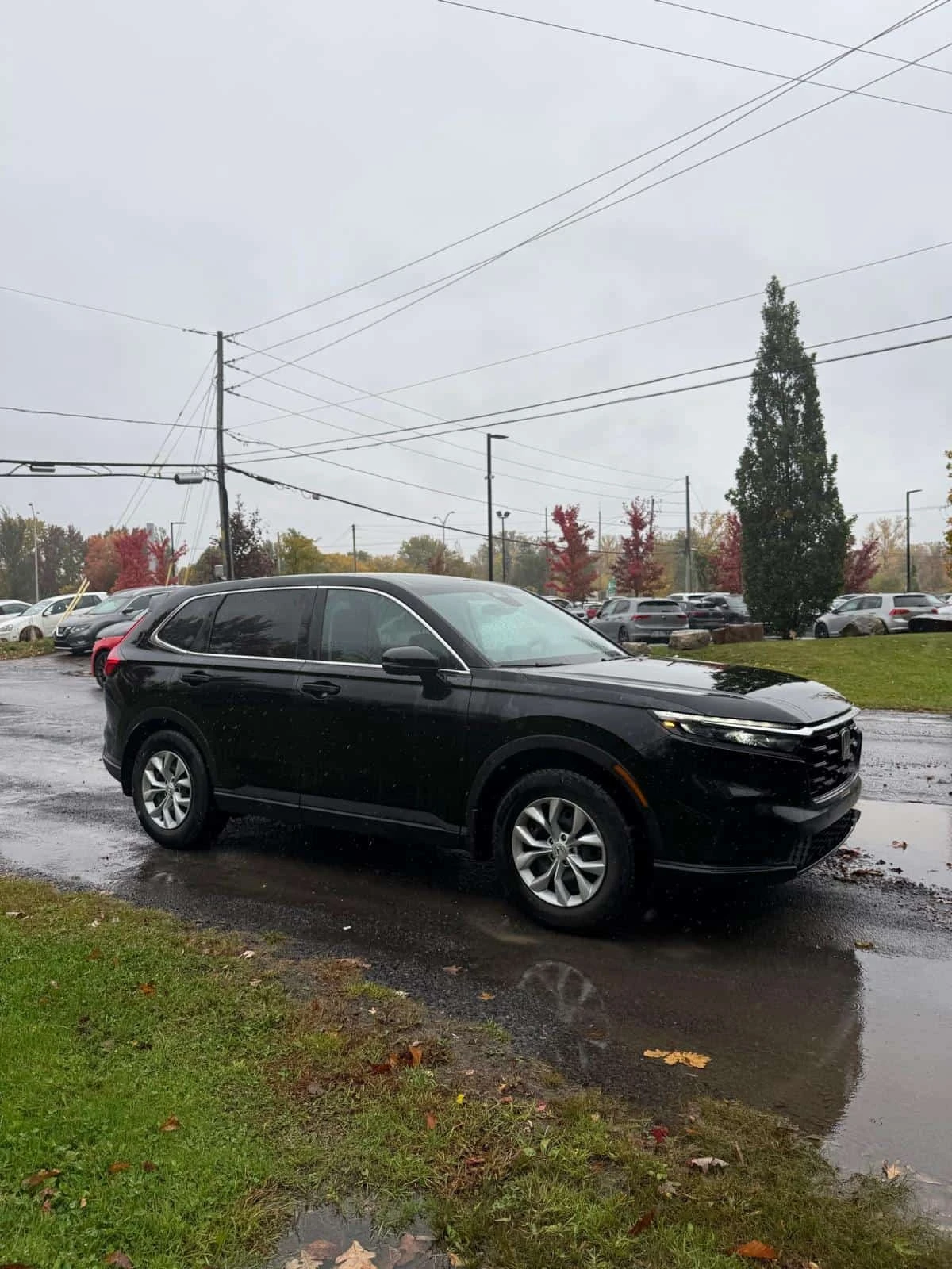 Honda Cr-v * AWD * CARFAX * ����� �� ����������� | Mobile.bg � ����������� 14