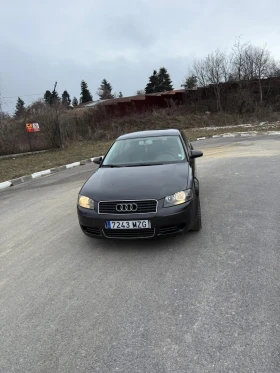Audi A3 1.9TDI 105 HP, снимка 1