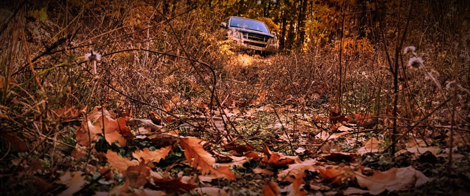 Isuzu D-max, снимка 1