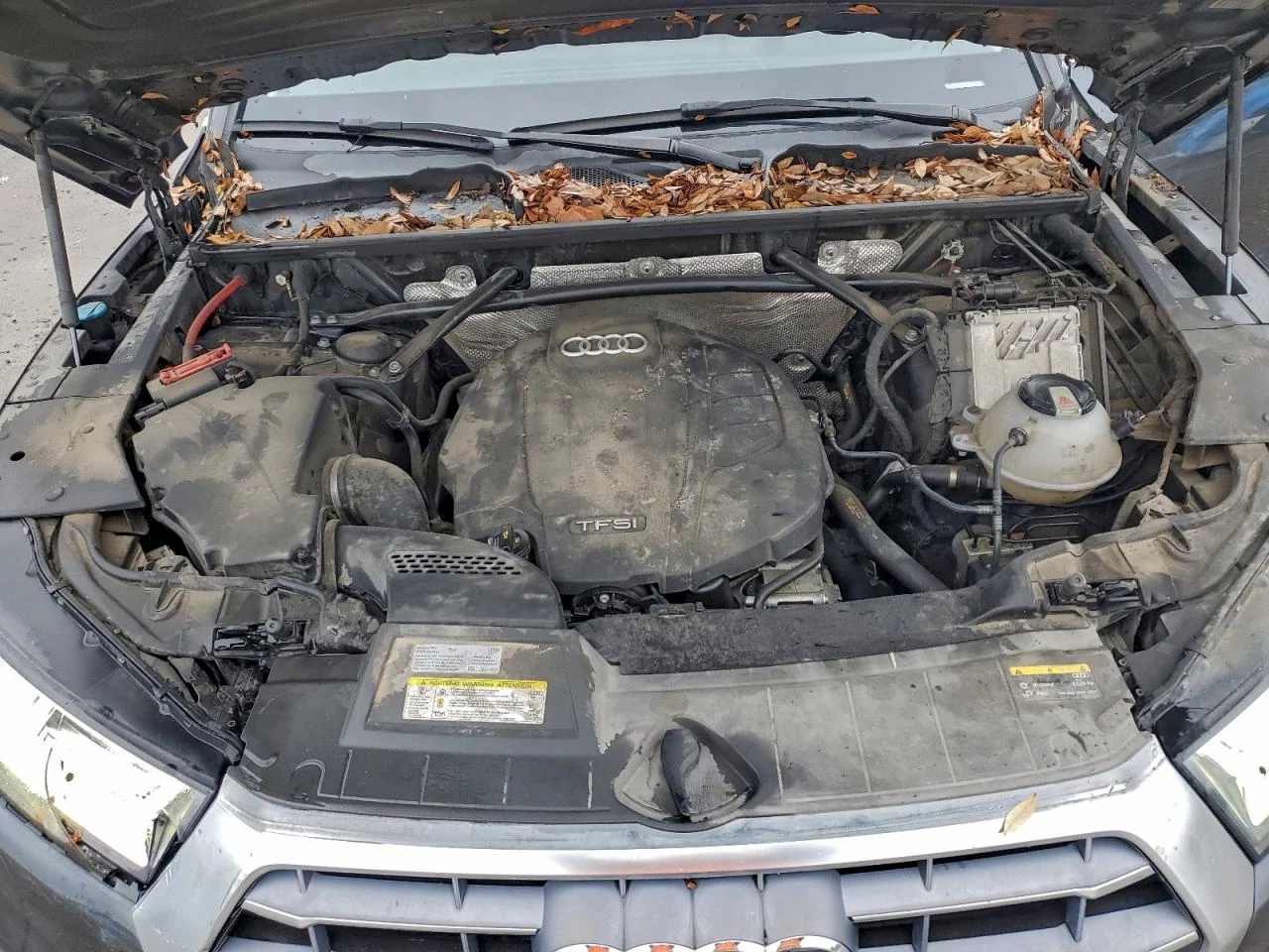 Audi Q5 PREMIUM PLUS*  | Mobile.bg � ����������� 12