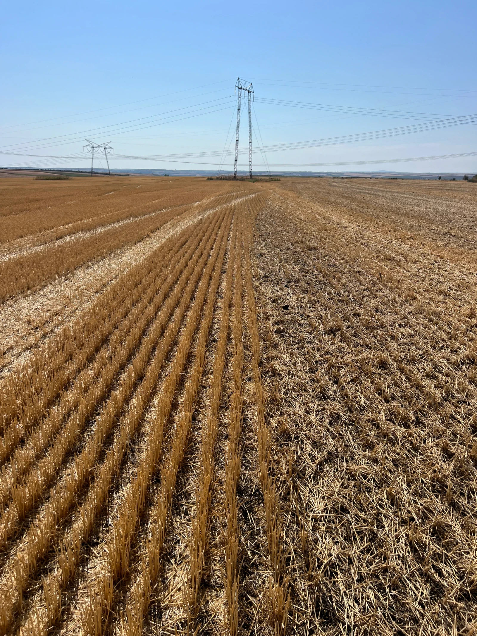 Друг вид Внос Щригелна брана Volta LS - изображение 4