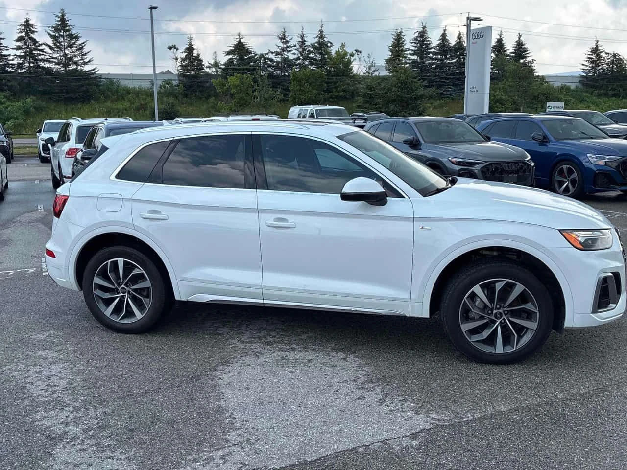 Audi Q5 * CARFAX * ОТ ПРЕДСТАВИТЕЛСТВО НА АУДИ, снимка 3 - Автомобили и джипове - 55396323