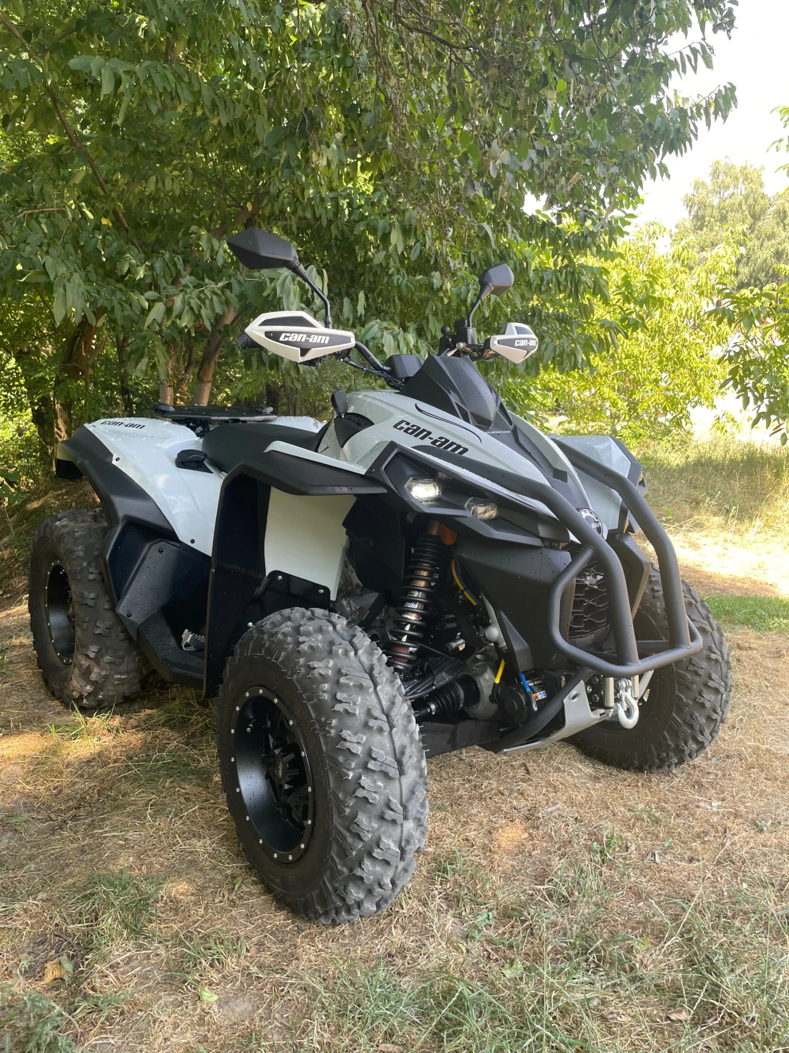 Can-Am Renеgade