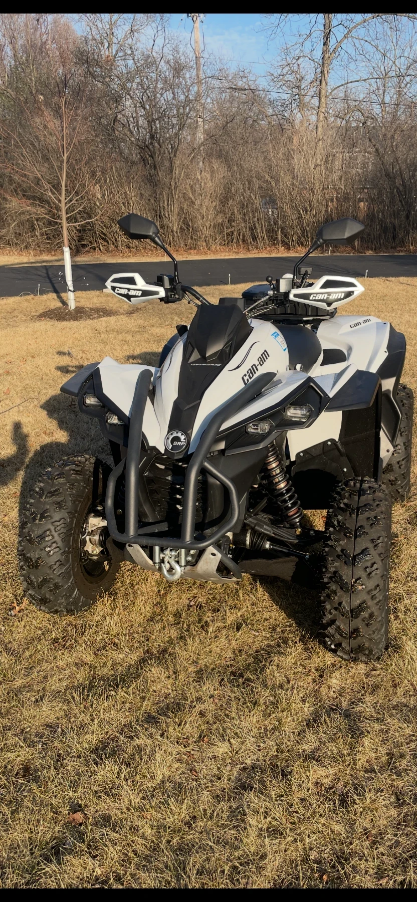 Can-Am Renеgade, снимка 5 - Мотоциклети и мототехника - 55062728