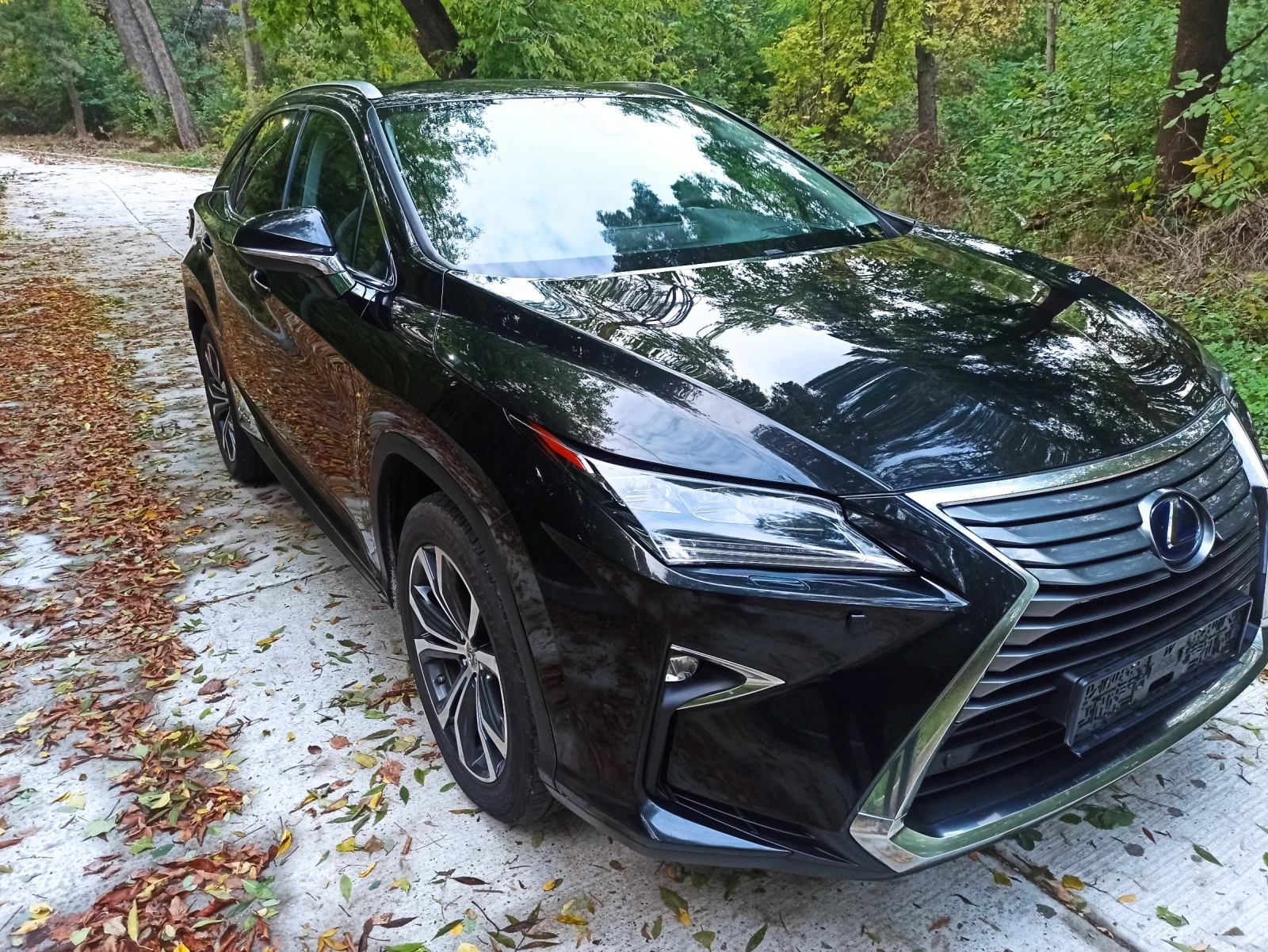 Lexus RX 450h  - изображение 2