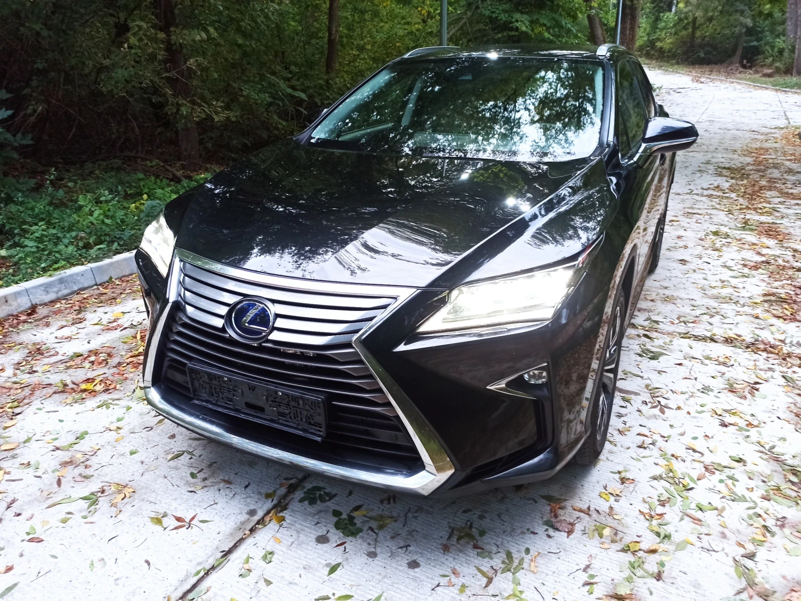 Lexus RX 450h | Mobile.bg — изображение 15