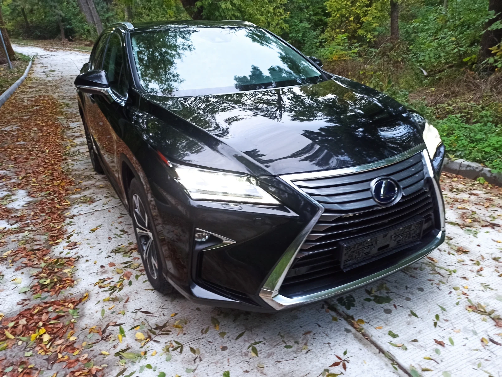 Lexus RX 450h | Mobile.bg — изображение 16