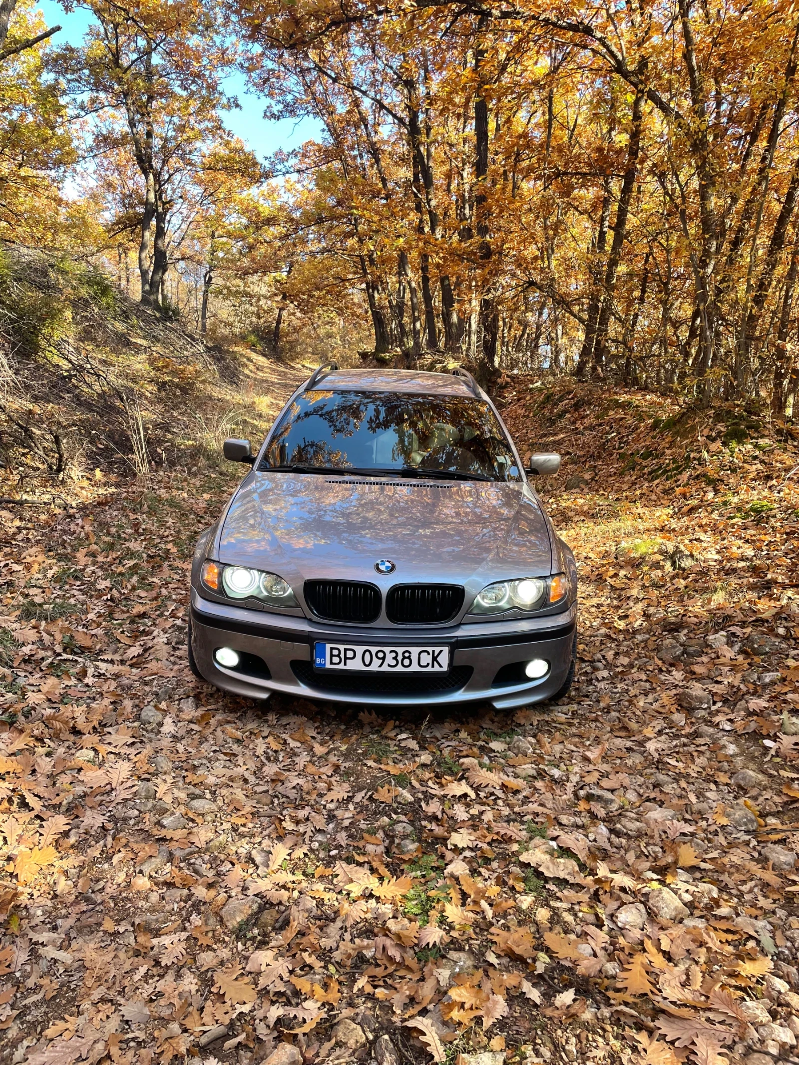 BMW 330 BMW E46 330xd 204hp - изображение 6