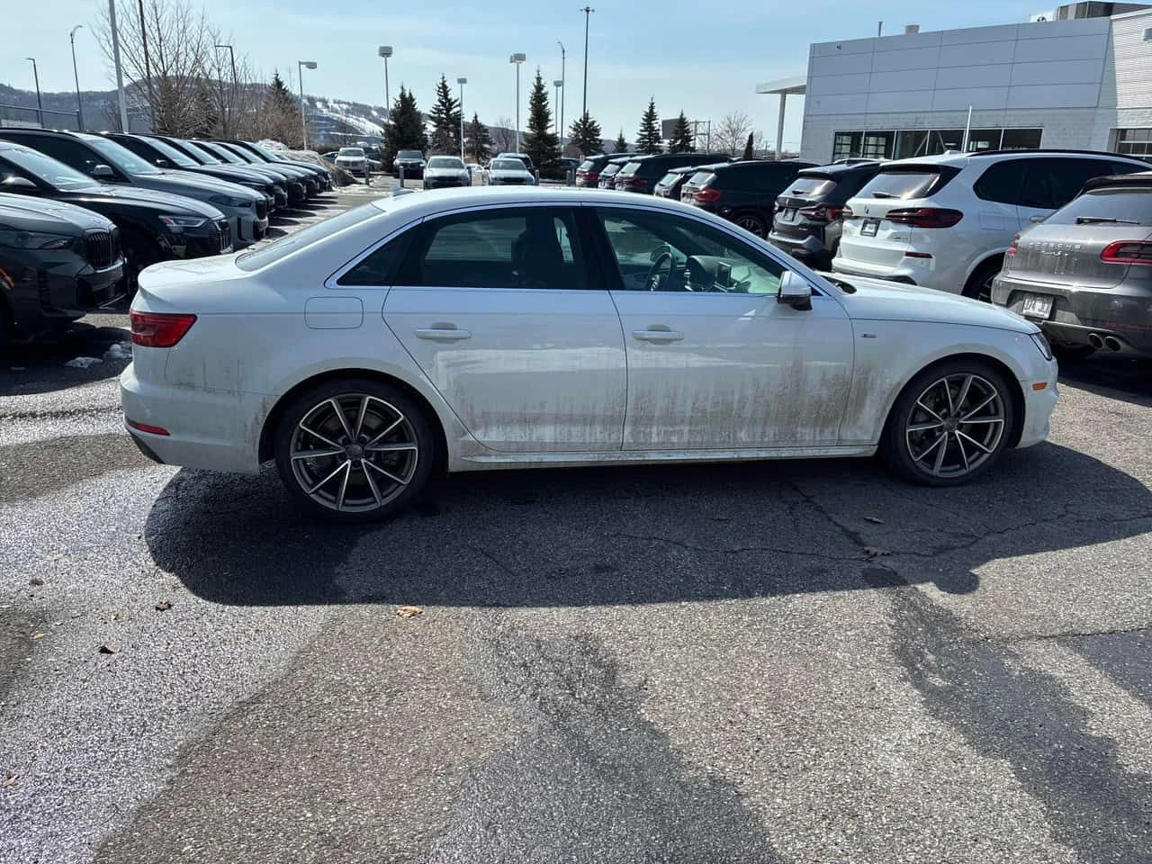 Audi A4 * Technik * CARFAX * Хед-ъп * Bang & Olufsen * , снимка 3 - Автомобили и джипове - 54037260