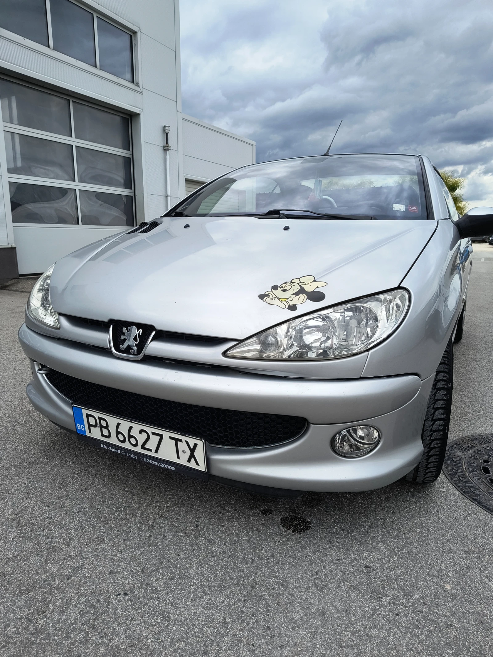 Peugeot 206 206CC, снимка 15 - Автомобили и джипове - 55072288