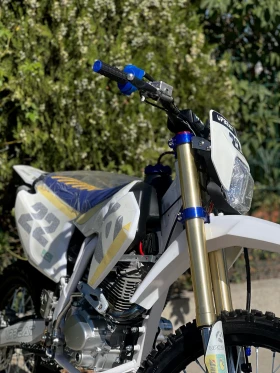      UpBeat FE 250 Enduro . -     