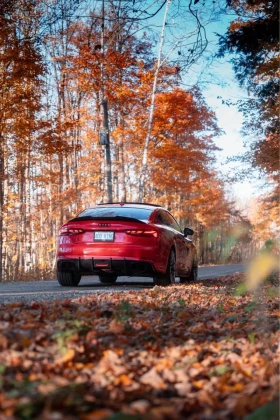 Audi S5 * QUATTRO* CARBON* ПОДГРЕВ*  | Auto.bg — изображение 2