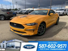 Ford Mustang Premium | 200A | Rear Cam | Parking Senors